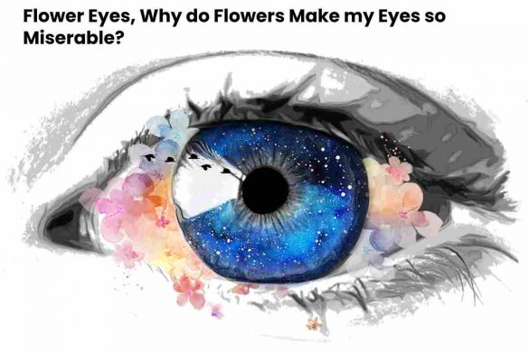 Flower Eyes, Why do Flowers Make my Eyes so Miserable?