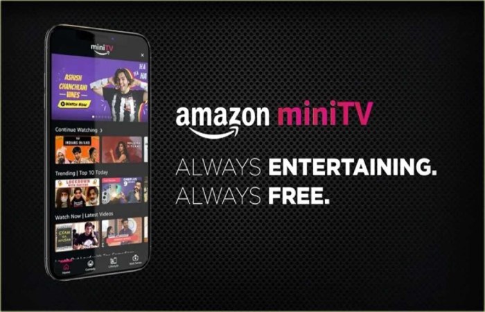 What is Minitv Amazon_ Minitv Amazon Indiasingh Techcrunch
