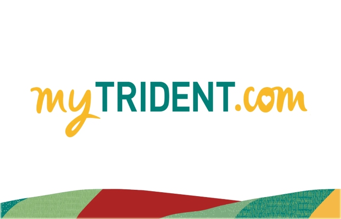 nse: trident Share Price Target for 2023.