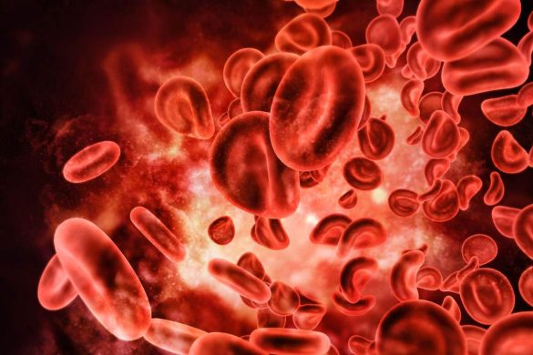Rajkotupdates.News:Emm-Negative-Rare-Blood-Group-Found-in-Rajkot-Man-11th-Such-Case-Worldwide