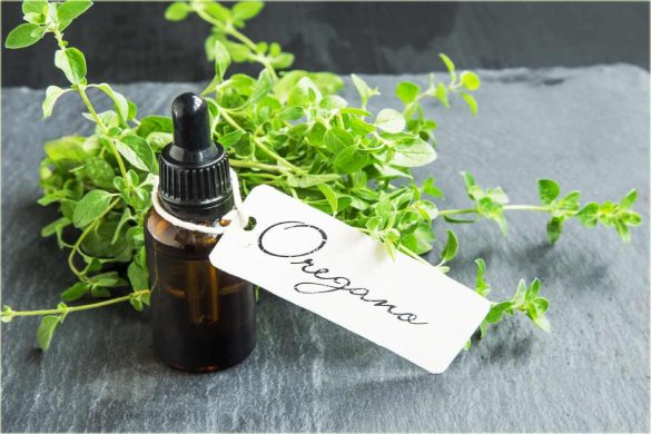 Wellhealthorganic.Com:Health-Benefits-and-Side-Effects-of-Oil-of-Oregano