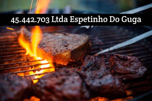 45.442.703 Ltda Espetinho Do Guga – Vigor Business