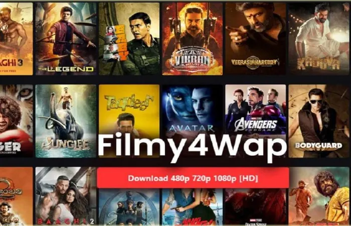 Why do People Love Filmy4Wap?